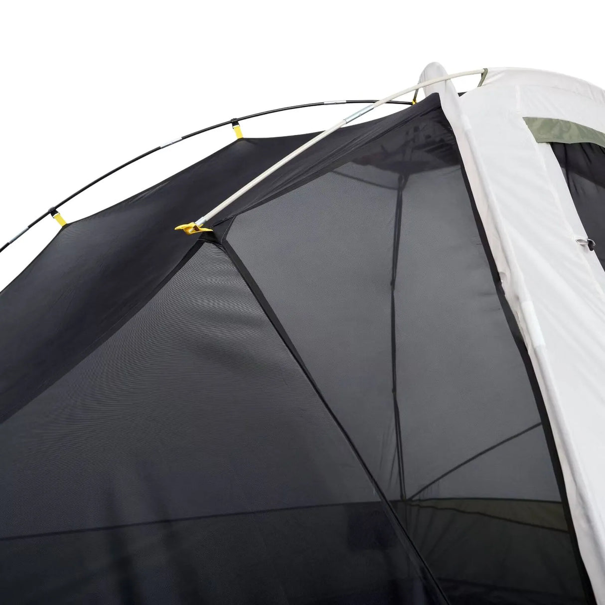 Fern Canyon 6 Person Tent