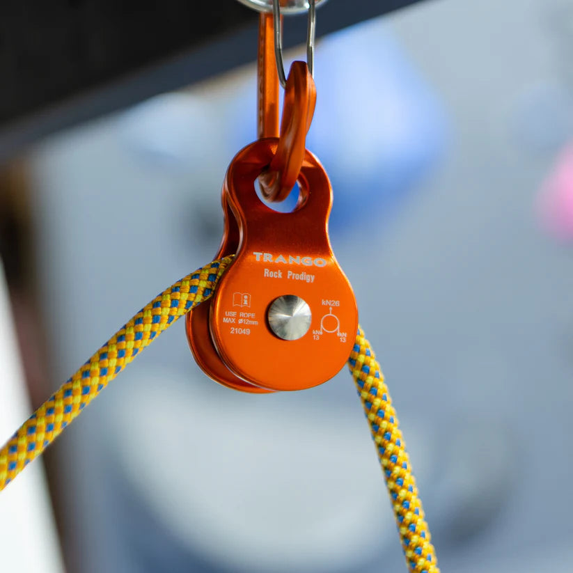 Pulley Orange