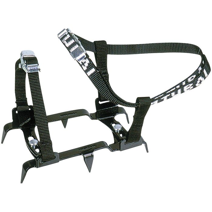 6 point crampon