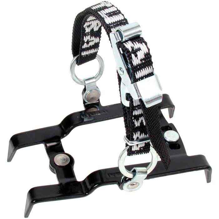 4 point crampon