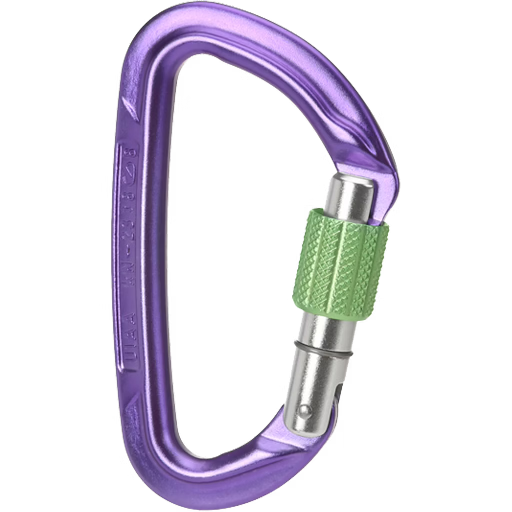 Session Screw Gate Locking