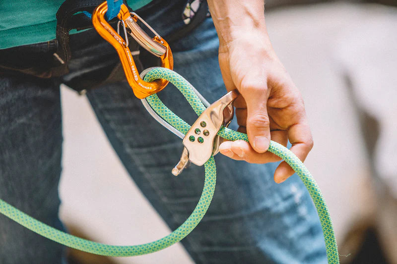 Master Pro Belay