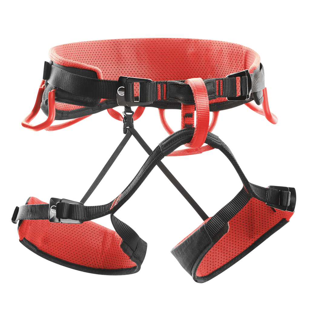 Syncro Harness