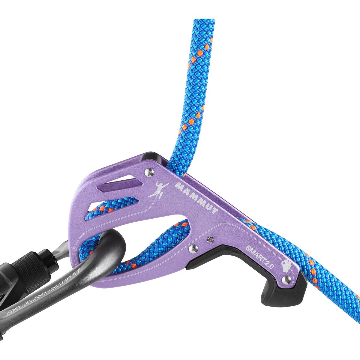 Mammut Smart 2.0 Belay Package, Alpine Calamint