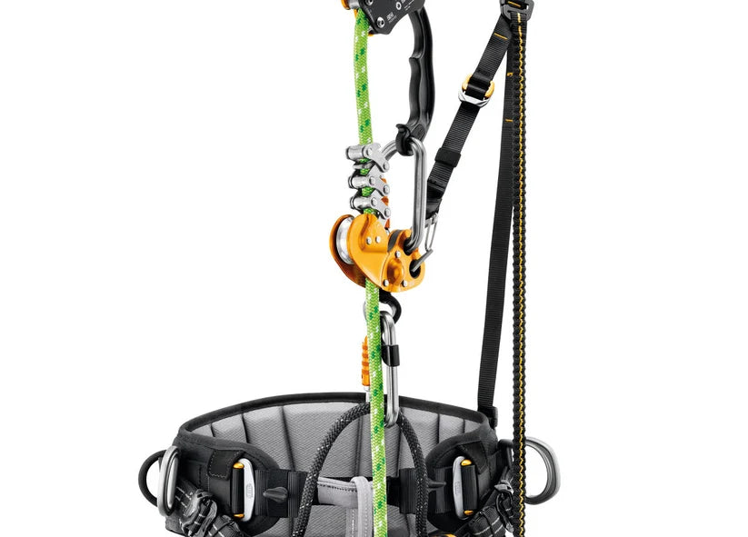 Petzl SEQUOIA SRT Arborist Harness