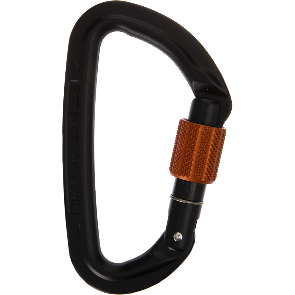 Session Screw Gate Locking Carabiner