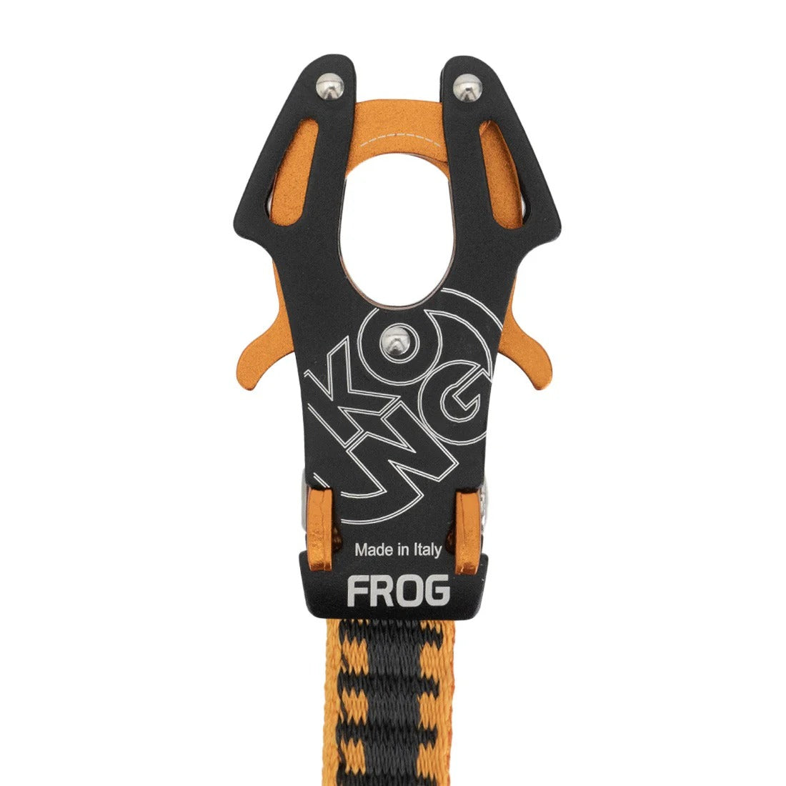Frog Quickdraw