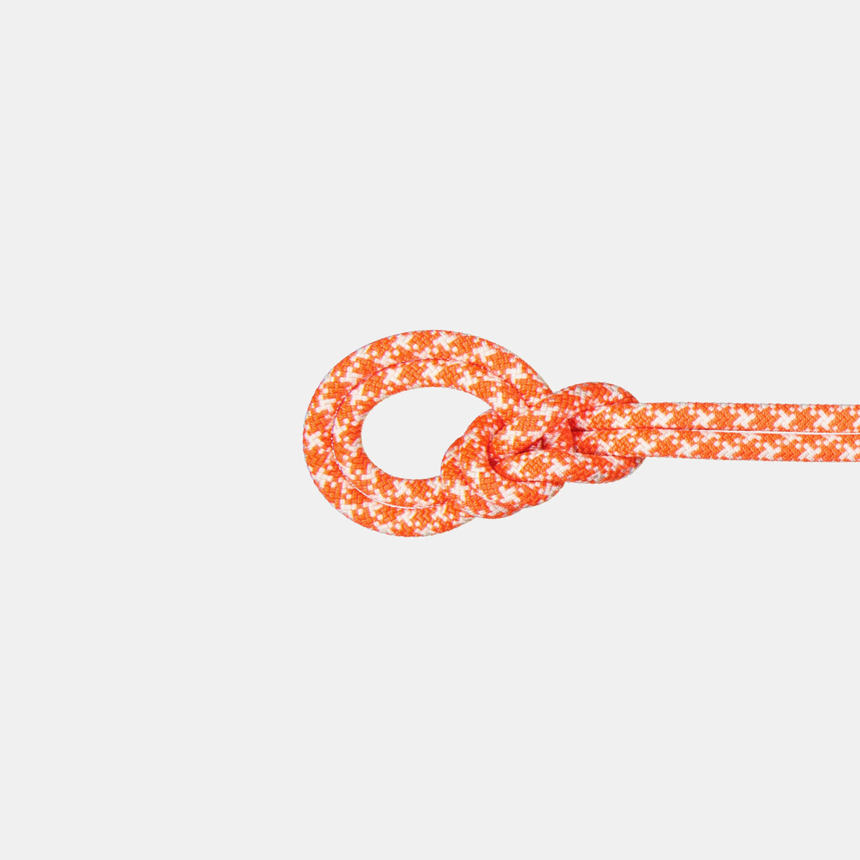 9.5 Crag Classic Rope 80m