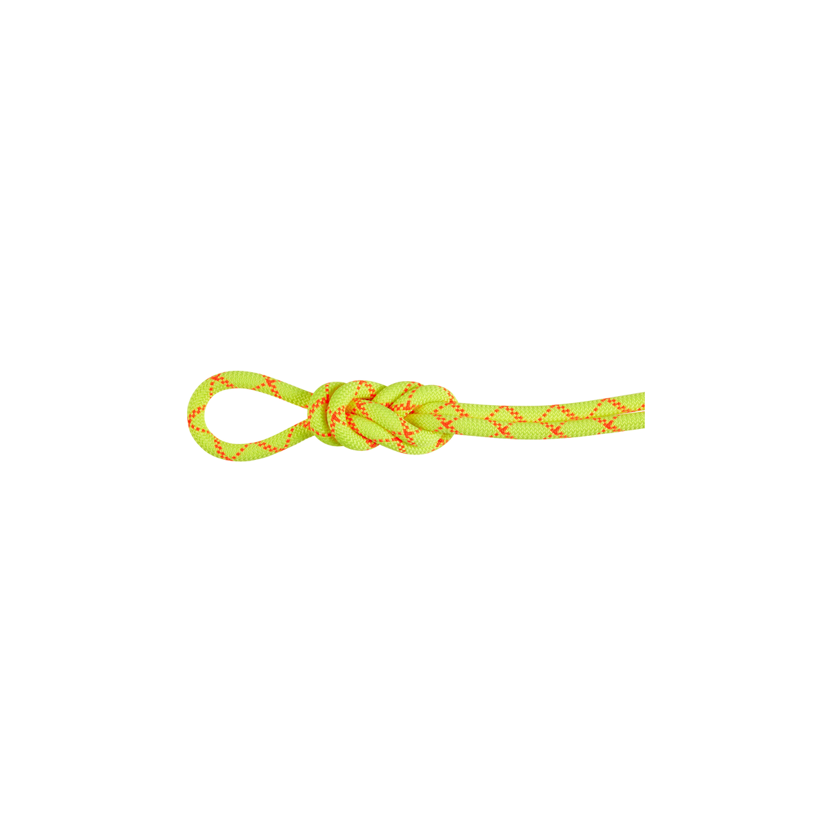 9.5 Alpine Core Protect Dry Rope 80m
