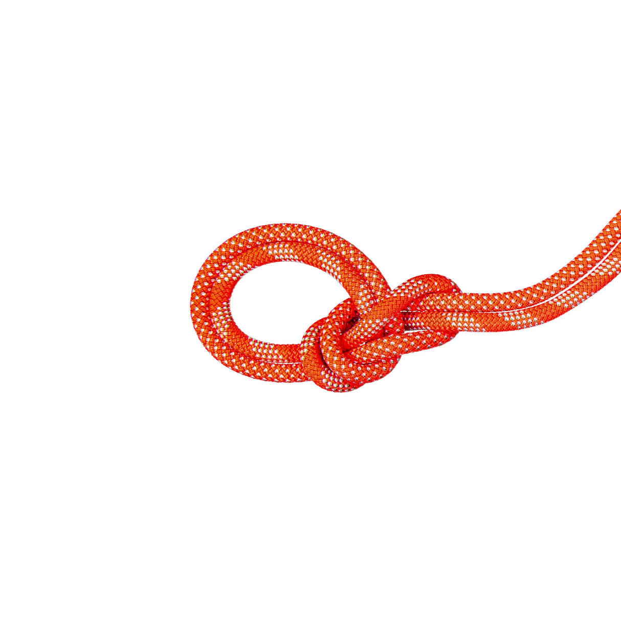 9.8 Crag Classic Rope Duodess 80m