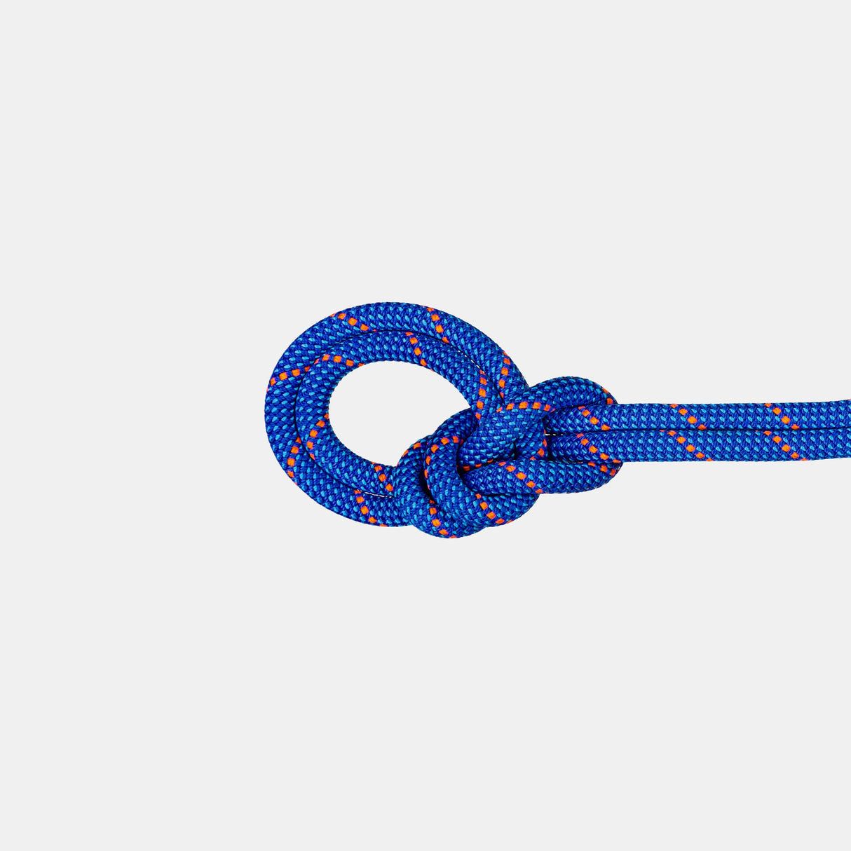 9.0 Crag Sender Dry Rope 80m