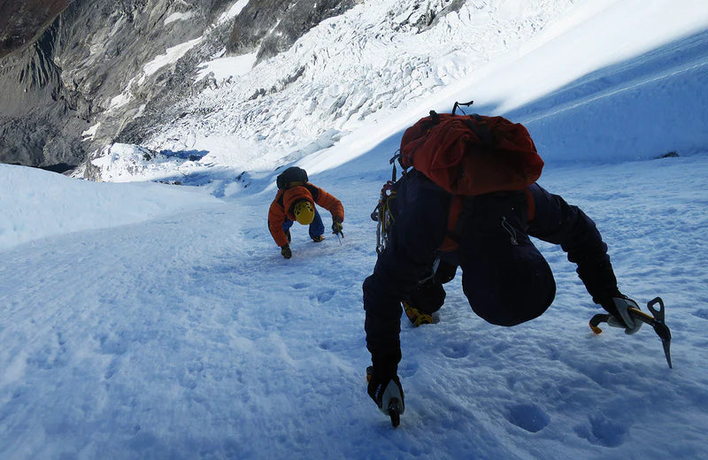 North Machine Carbon