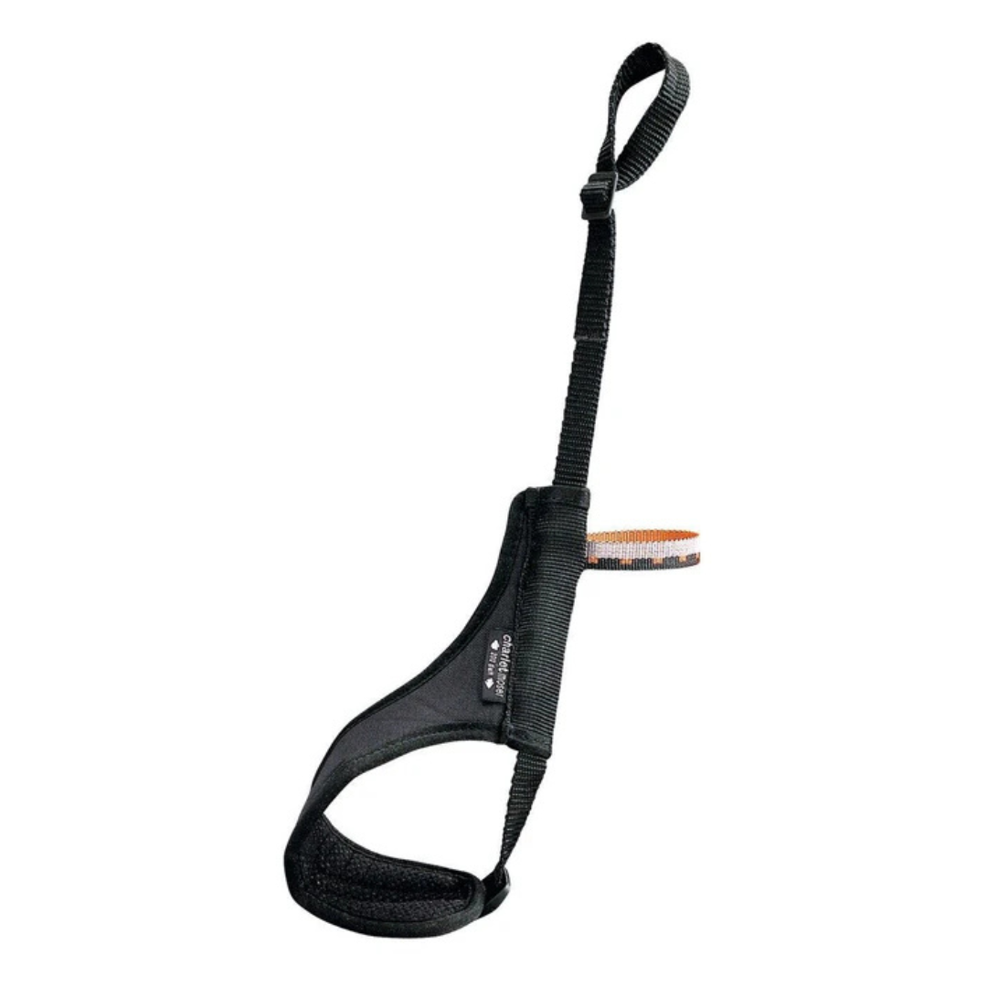 Petzl Charlet Moser Clipper U80000