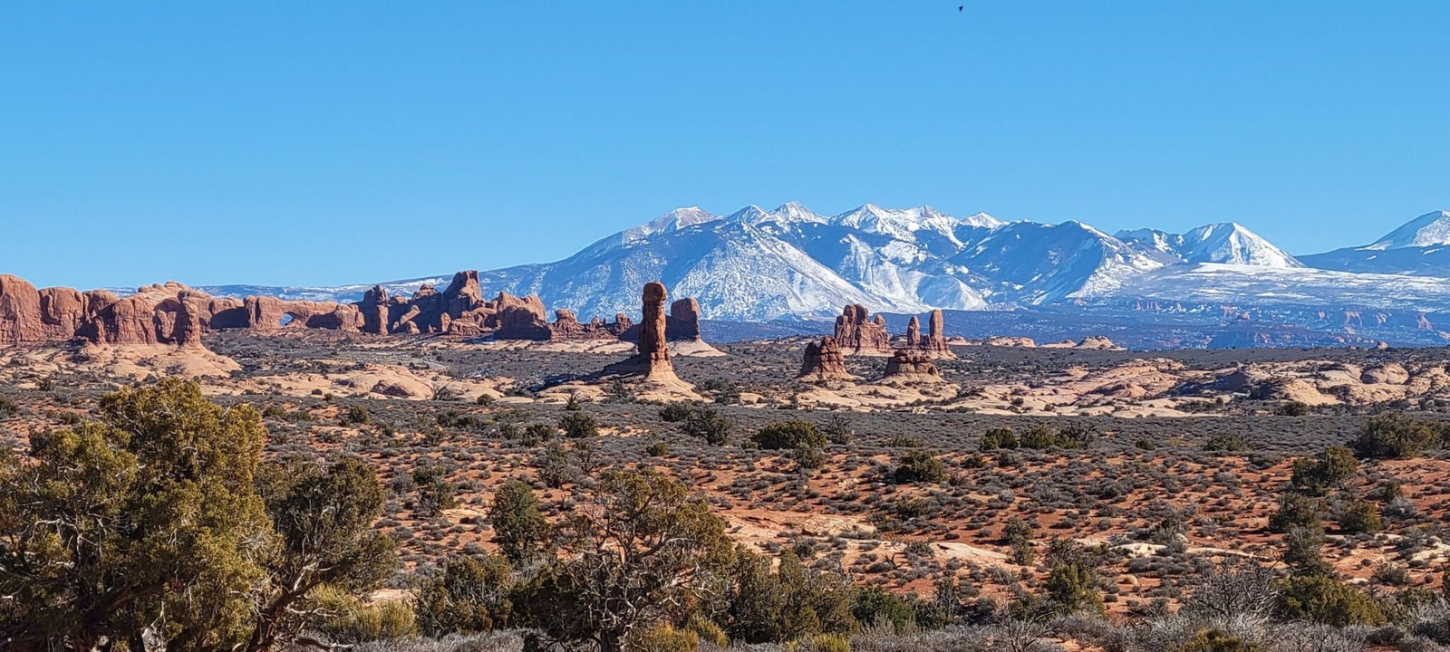 Canyonlands National Park: A Wonder Carved by Two Rivers