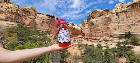 Explore a Spectacular Journey Through Capitol Reef National Park