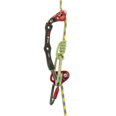 Apex System