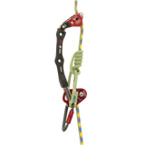 Apex System