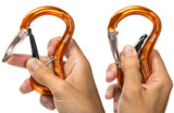 Clepsydra L