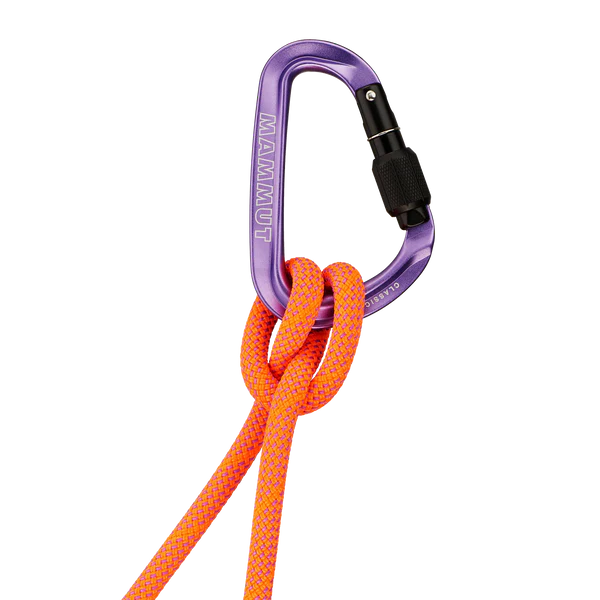 Classic HMS Screw Gate