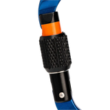 Classic HMS Screw Gate