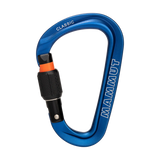 Classic HMS Screw Gate