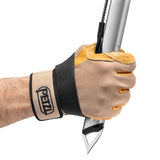 GLACIER WITH LINKIN LEASH