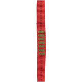 Edelweiss 19mm nylon slings