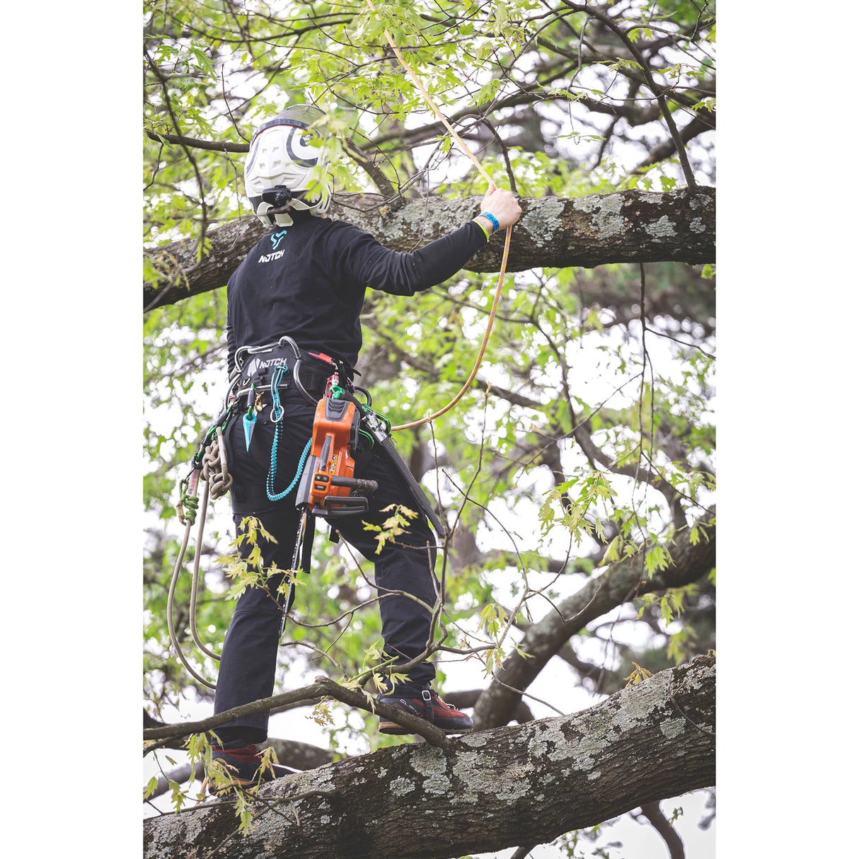 Quick Cinch Chainsaw Lanyard