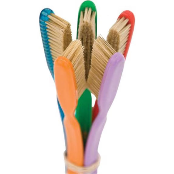 Boar's Hair Brush
