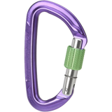 Session Screw Gate Locking