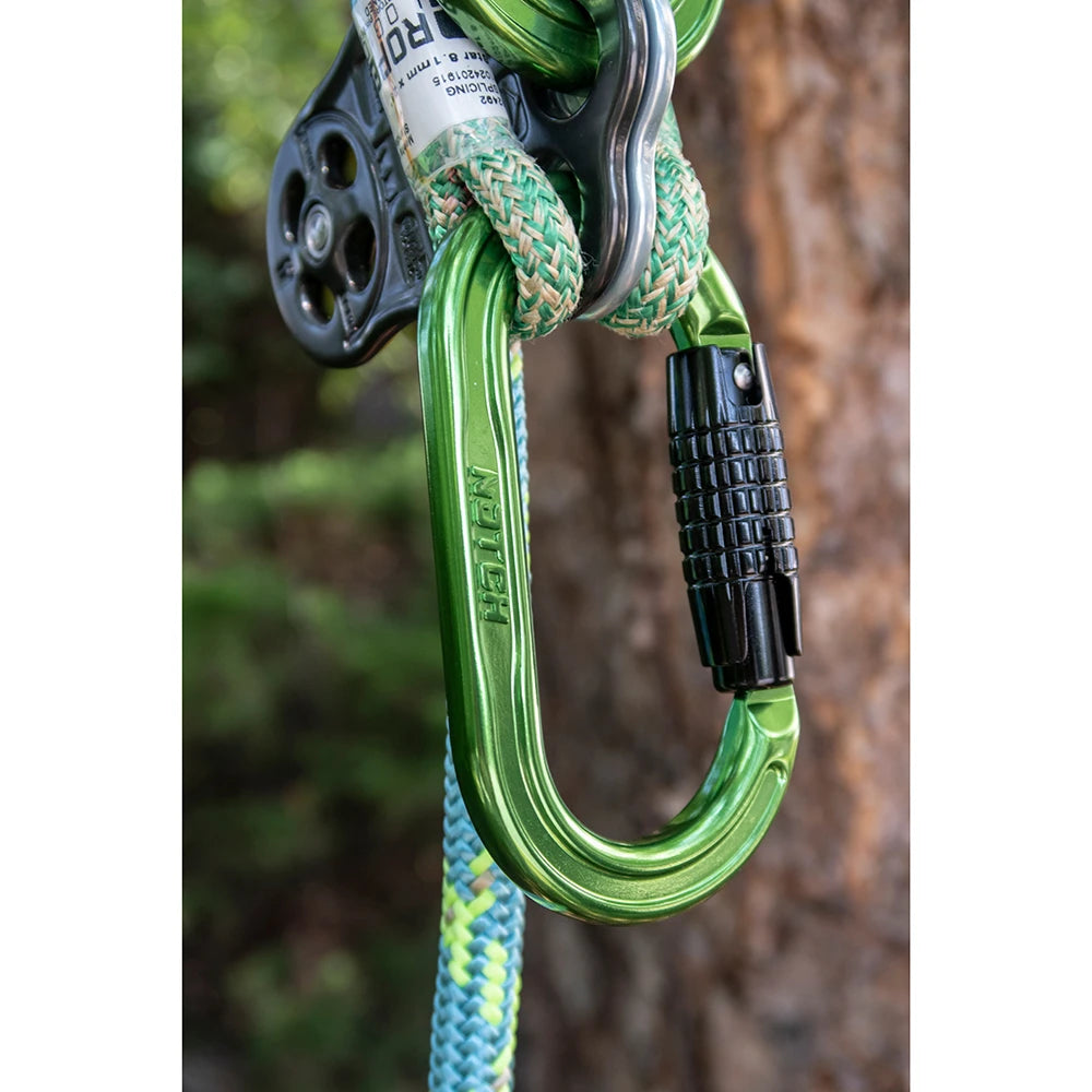 Absolute Oval Carabiner