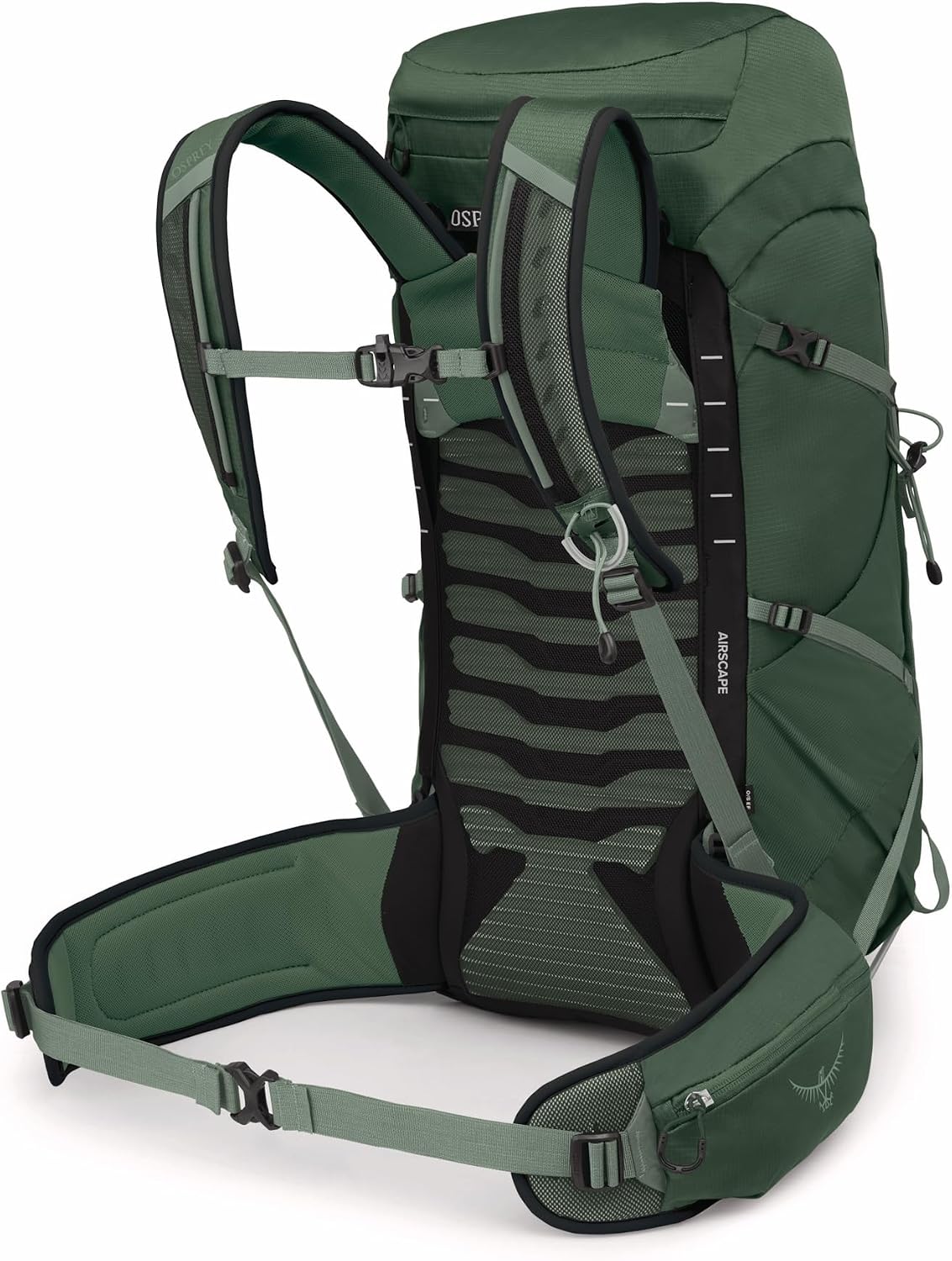 Osprey Talon 33L Men's Lightweight Hiking Backpack, Green OS