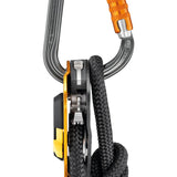 Petzl William Triact Carabiner