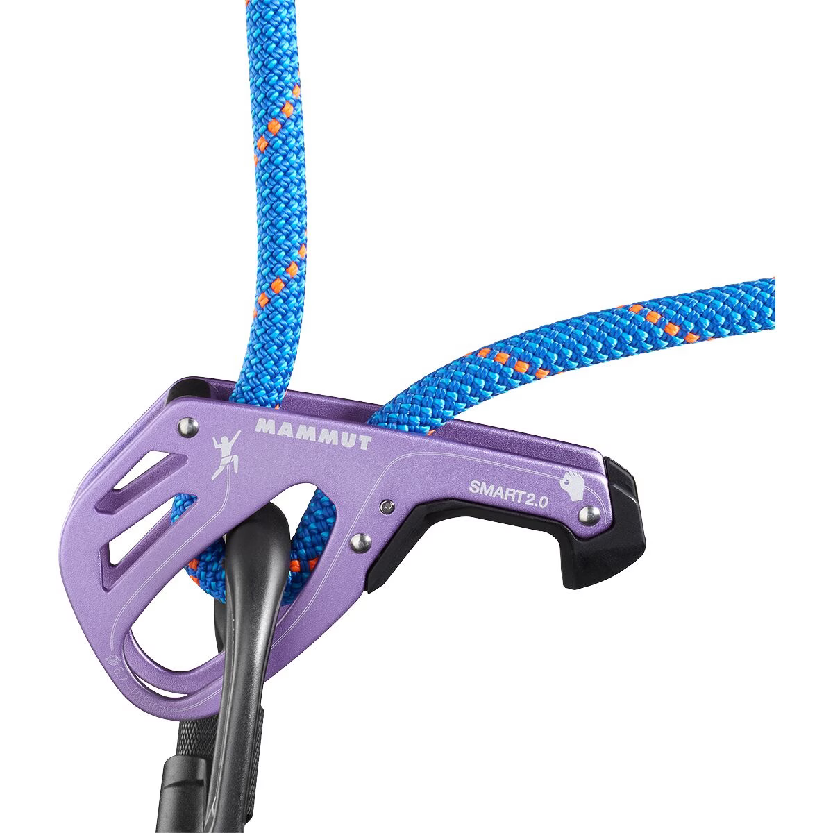 Mammut Smart 2.0 Belay Package, Alpine Calamint