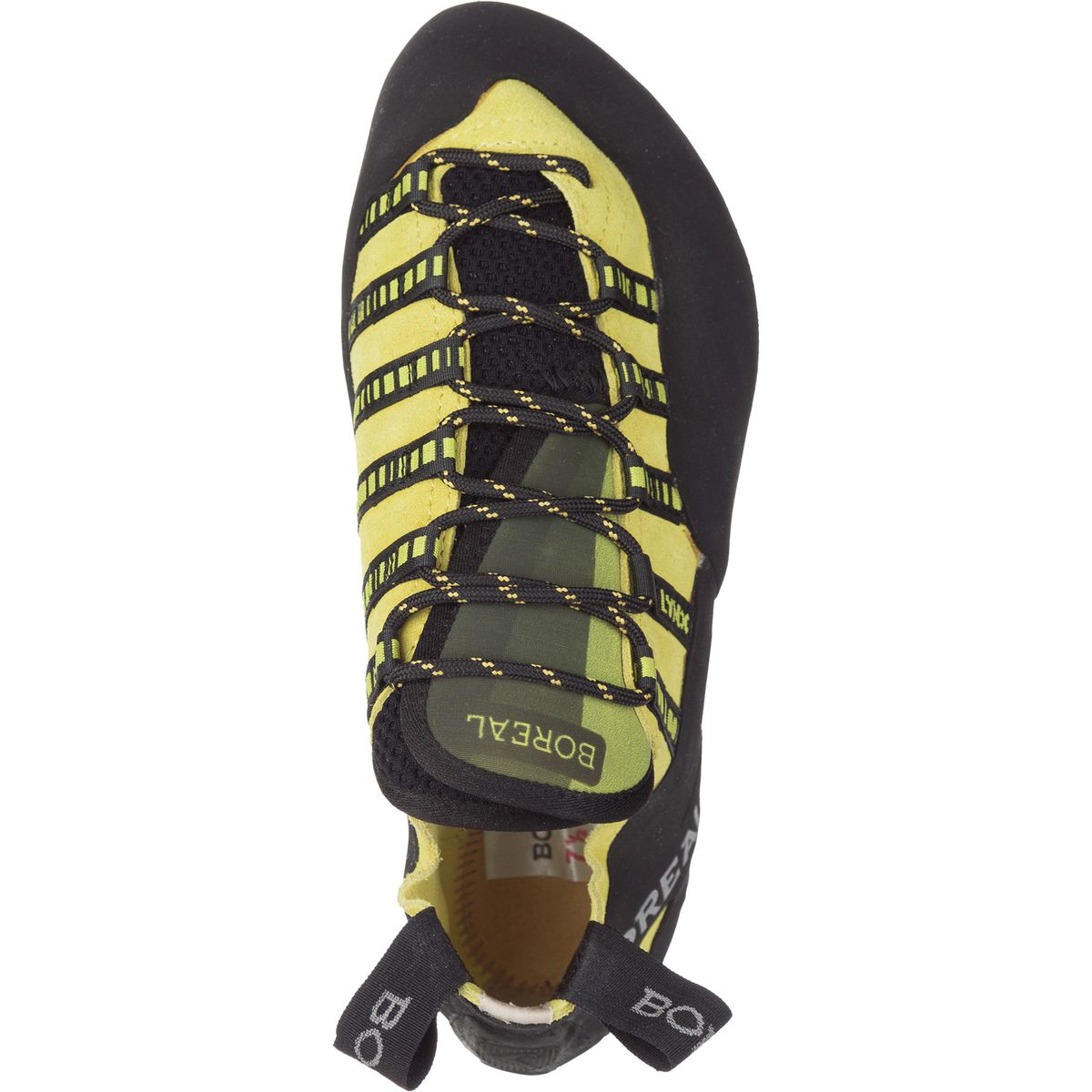 Climbing shoes Lynx