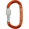Climbing Technology Light-Alloy Screwgate Carabiner, PILLAR SG