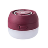 Moji Lantern 100 Lumens