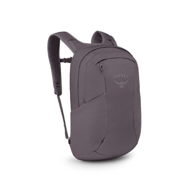 Osprey Farpoint Fairview Travel Daypack, Graphite Purple