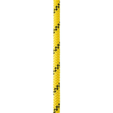 Petzl AXIS 11mm Kernmantle Rope