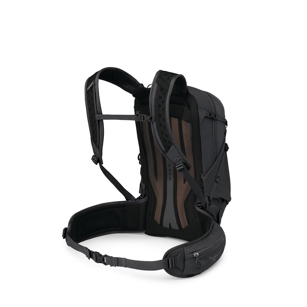 Osprey Packs Sportlite 25L Pack Extended Fit