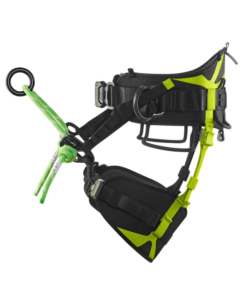 TreeRex II