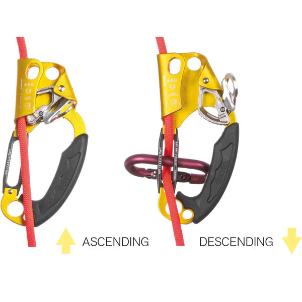 A&D ASCENDER DESCENDER