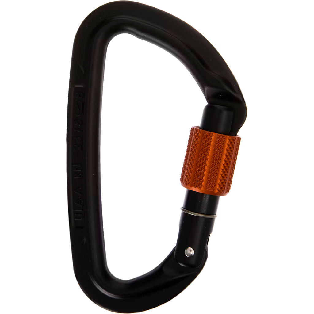 Session Screw Gate Locking