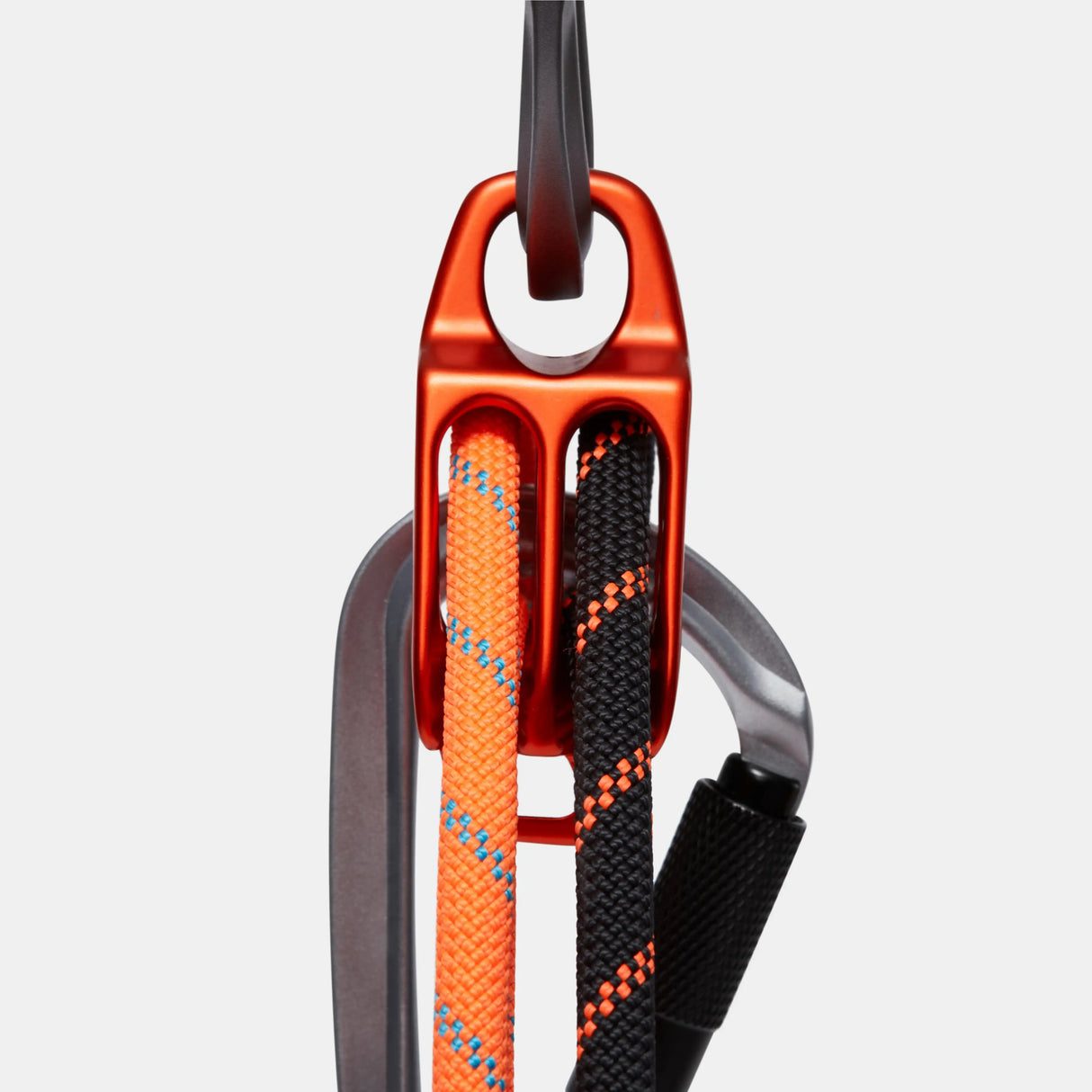 Wall Alpine Belay