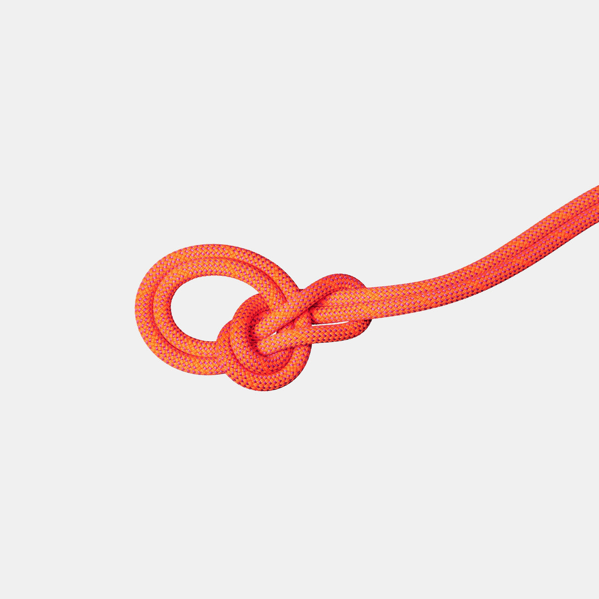 9.8 Crag Dry Rope 80m