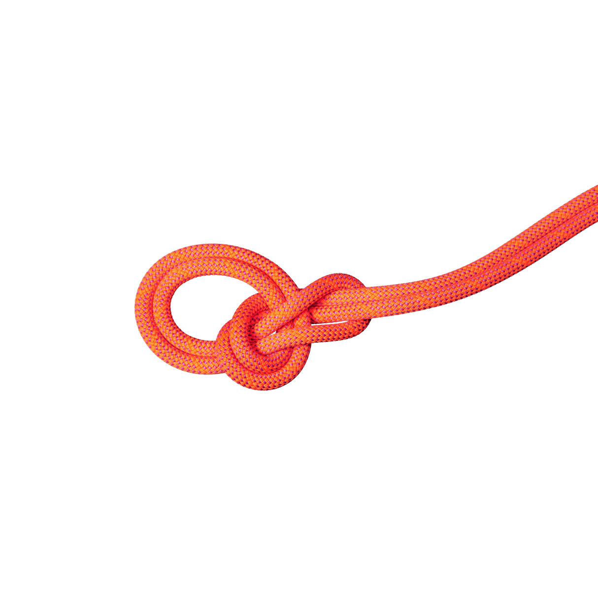 9.8 Crag Dry Rope 60m