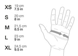 CORDEX