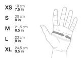 CORDEX PLUS