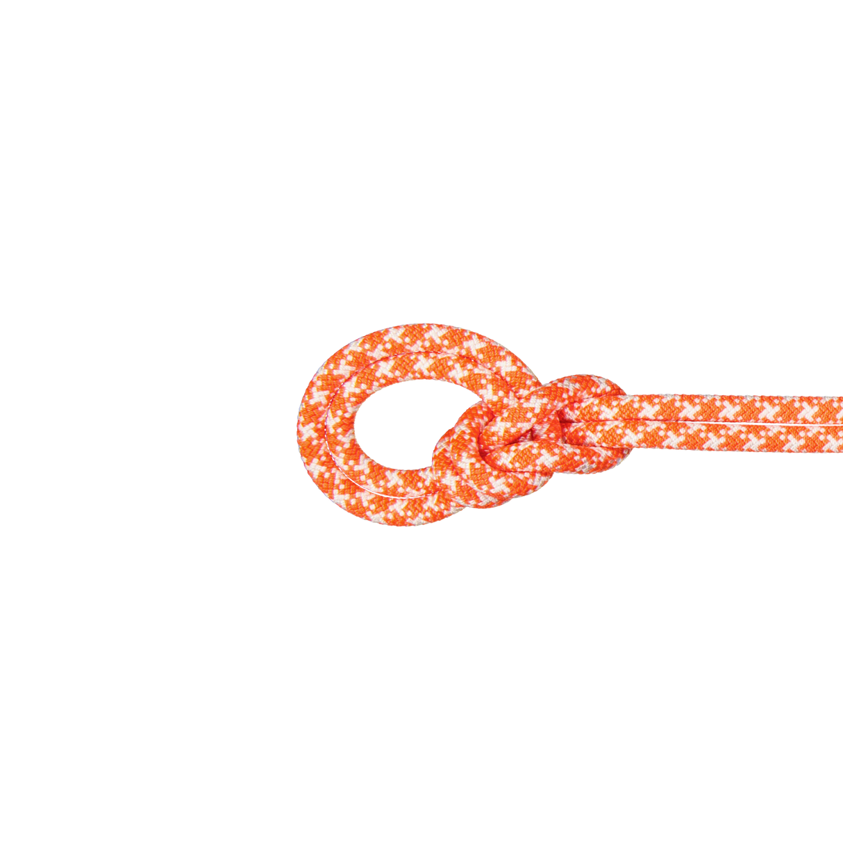 9.5 Crag Classic Rope 60m