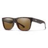 Lowdown 2 Matte Tortoise + ChromaPop Brown